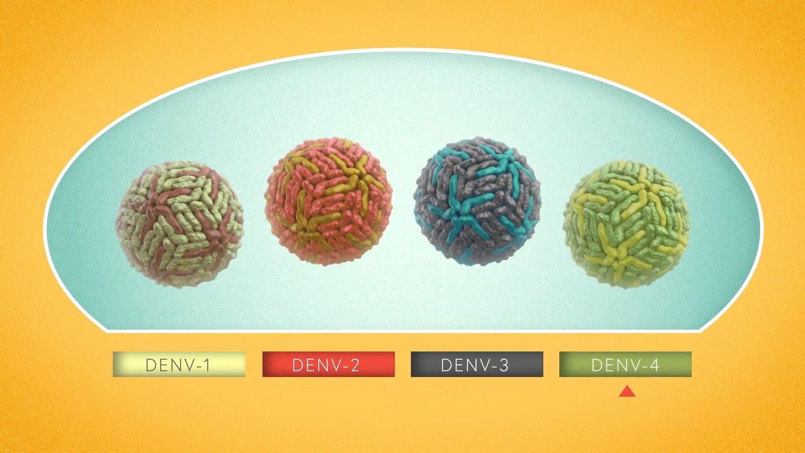 The Global Burden of Dengue, Motion graphics by Lucid Motion Studio