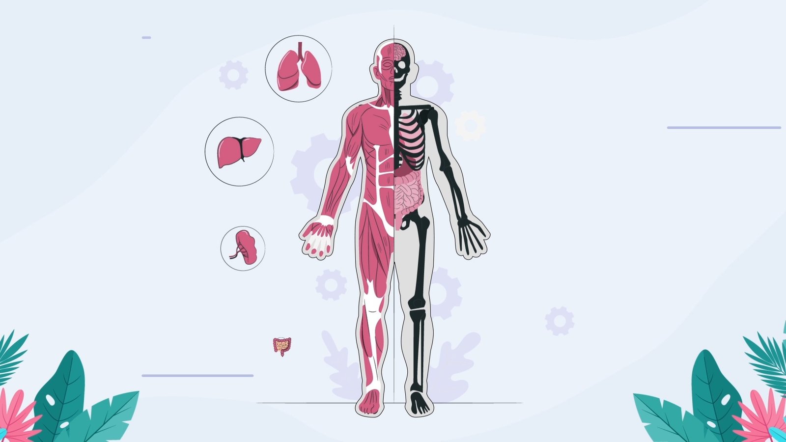 Journey To Wellness, 2D Animation by Lucid Motion Studio