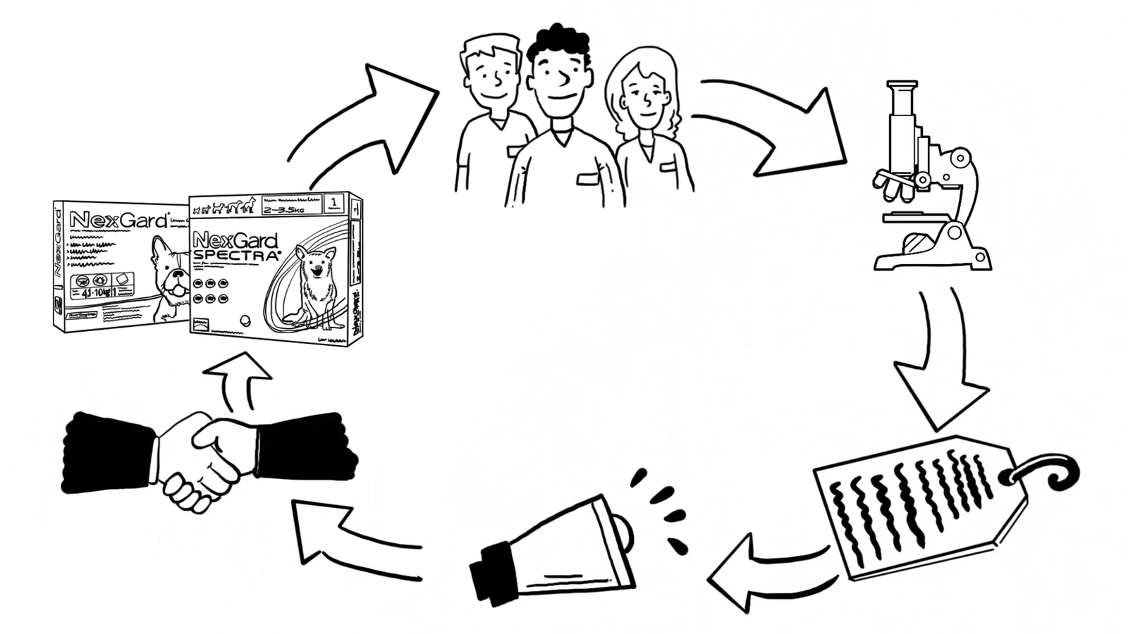 Boehringer Ingelheim, Whiteboard animation by Lucid Motion Studio